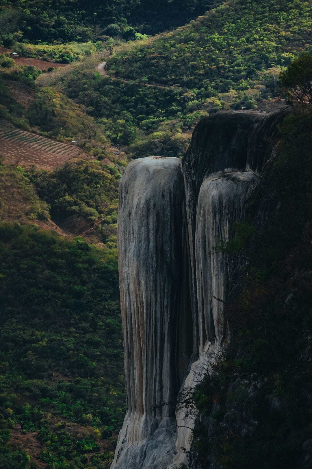 Ritual Grounding: Liberación para piernas y pies