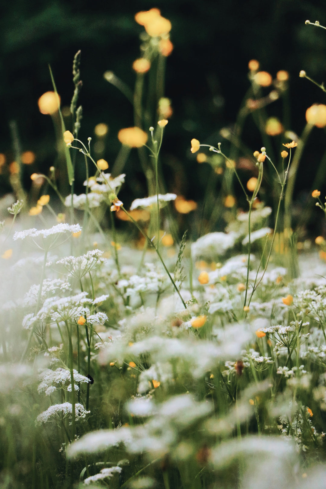 Ritual Ayurvedic Bliss